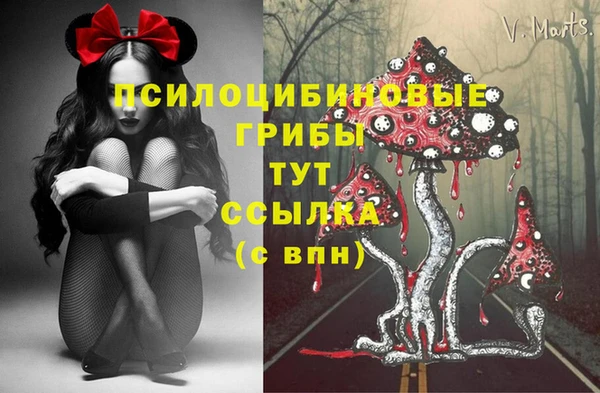 МДПВ Ростов